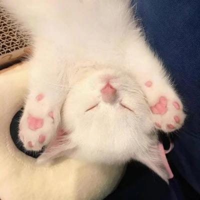 Michael Hartono profile picture